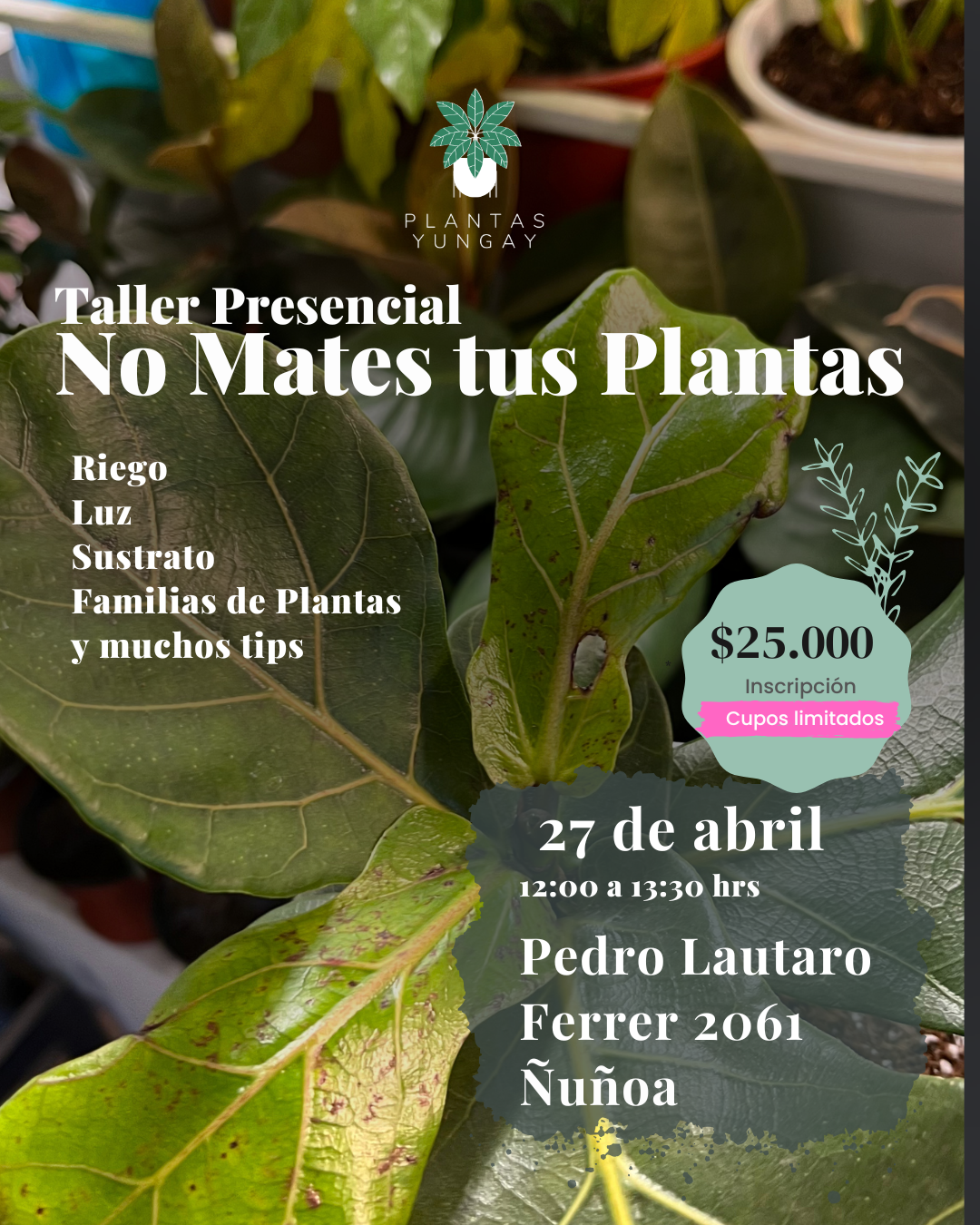 Taller Presencial No Mates tus Plantas 27 de abril