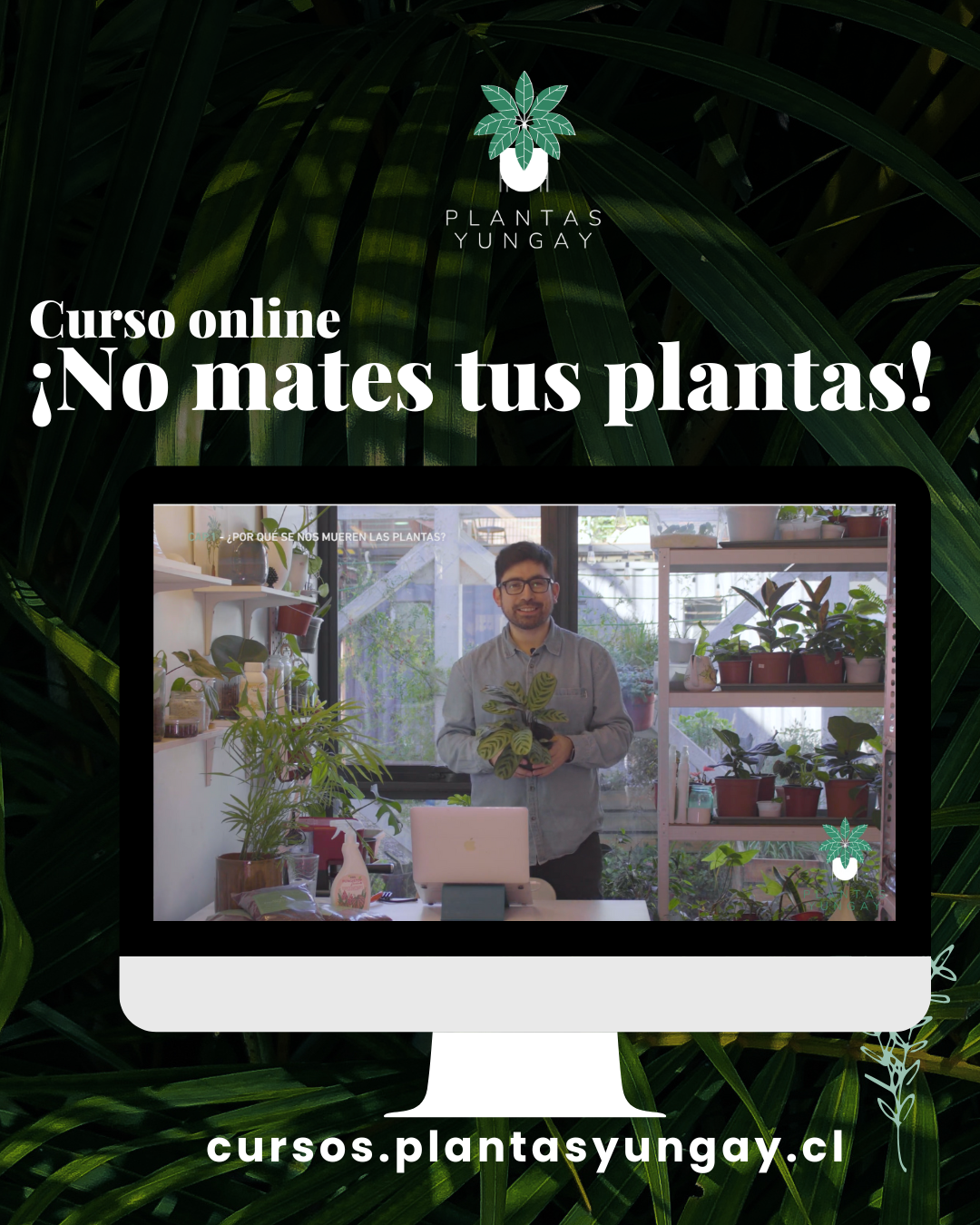 Curso Online "No Mates tus plantas"