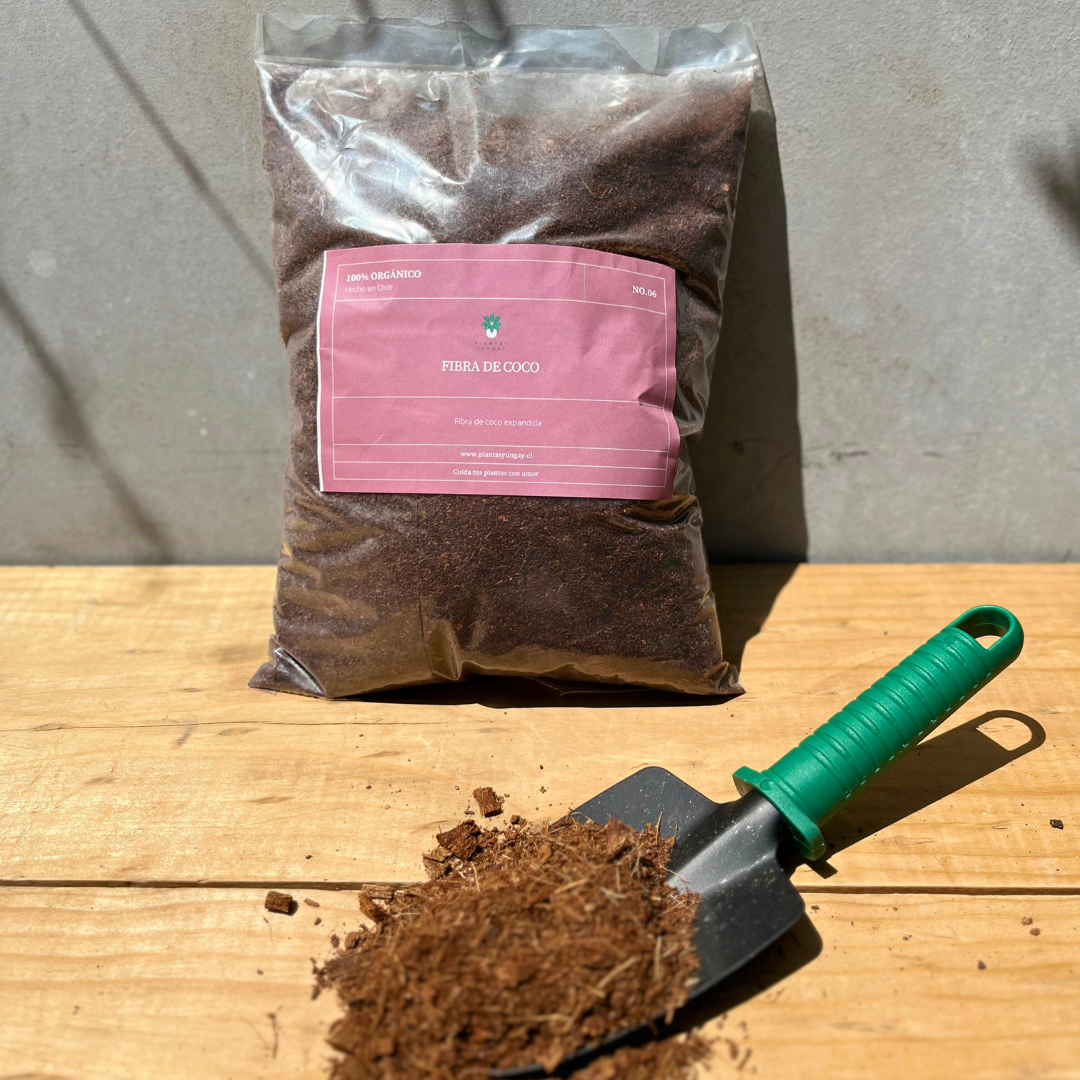 Bolsa de fibra de coco y pala sobre une mesa con un puñado de fibra de coco en la punta.