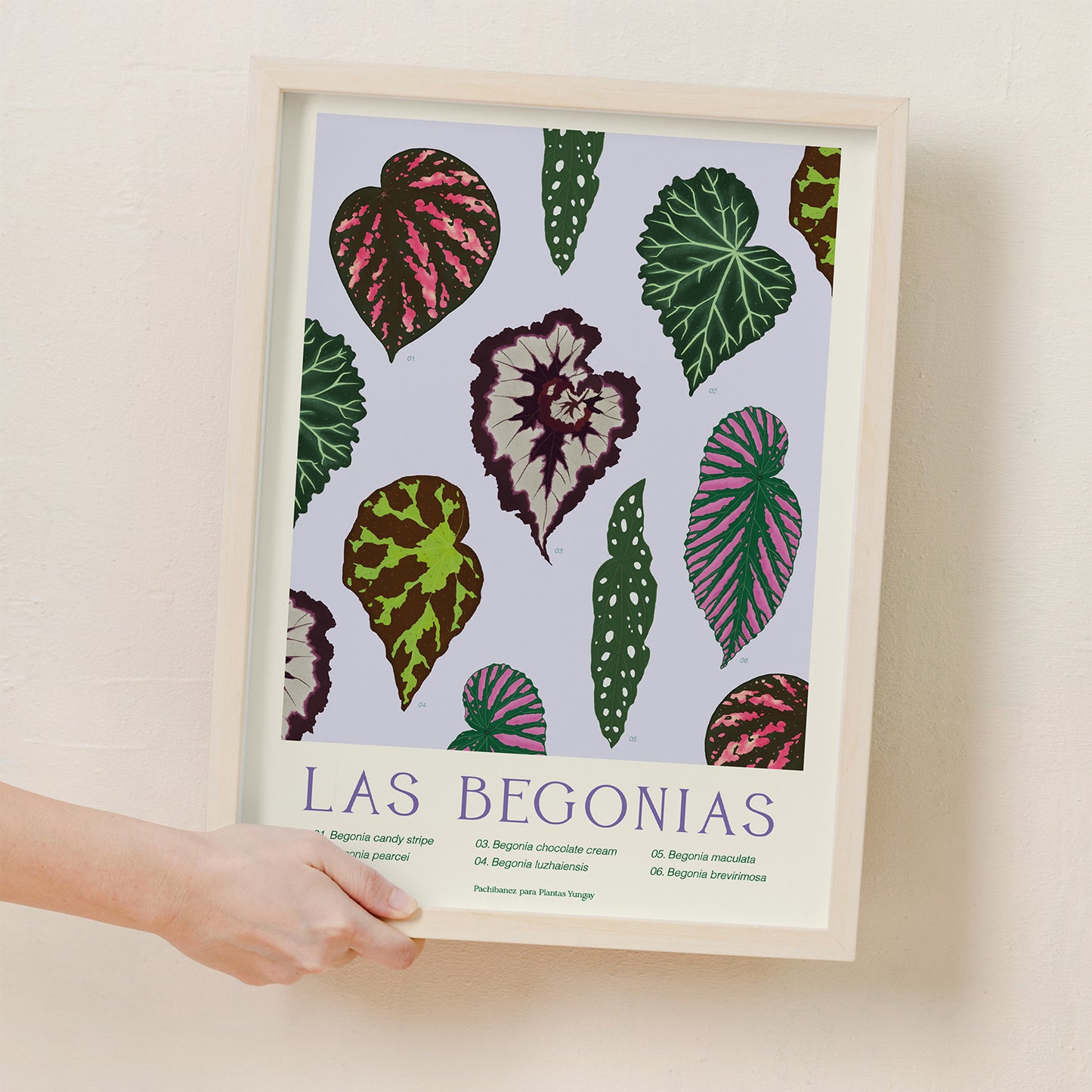 Print botánico Las Begonias