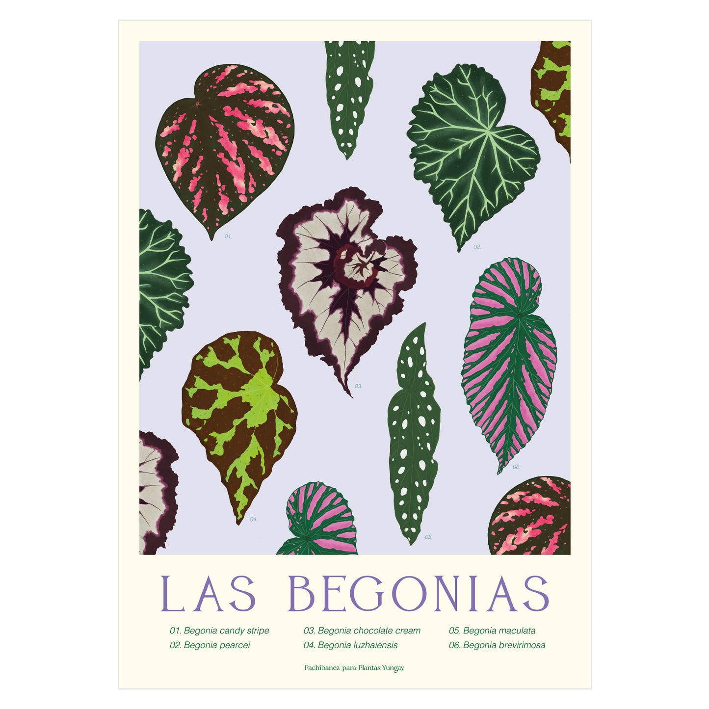 Print botánico Las Begonias