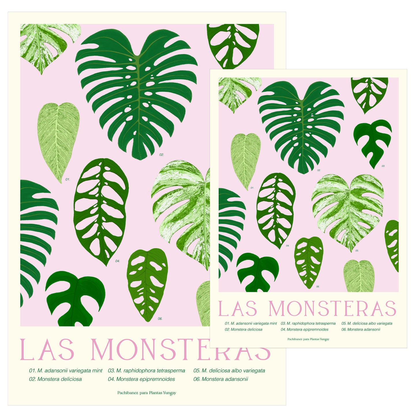 Print Botánico Las Monsteras