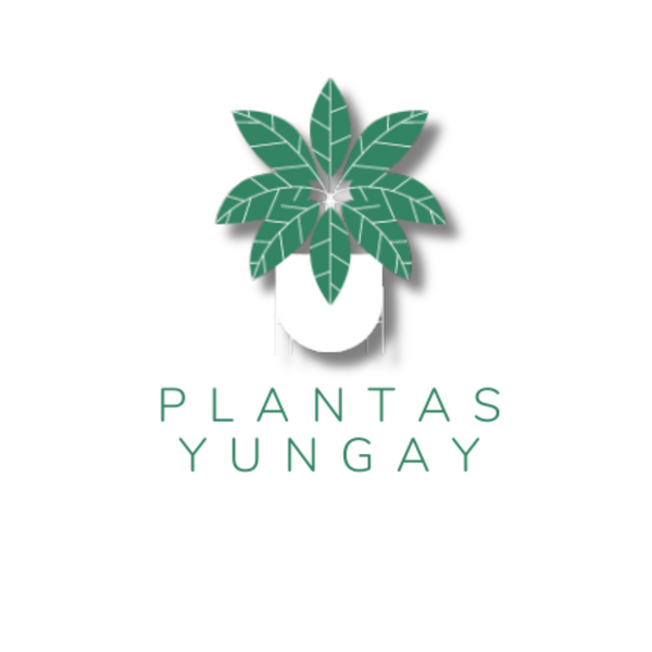 Plantas Yungay