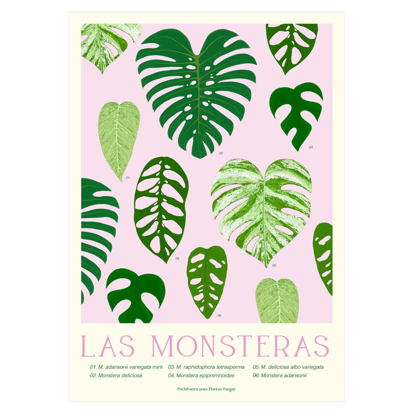 Print Botánico Las Monsteras