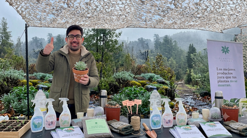 Guía completa de cuidado de plantas en invierno