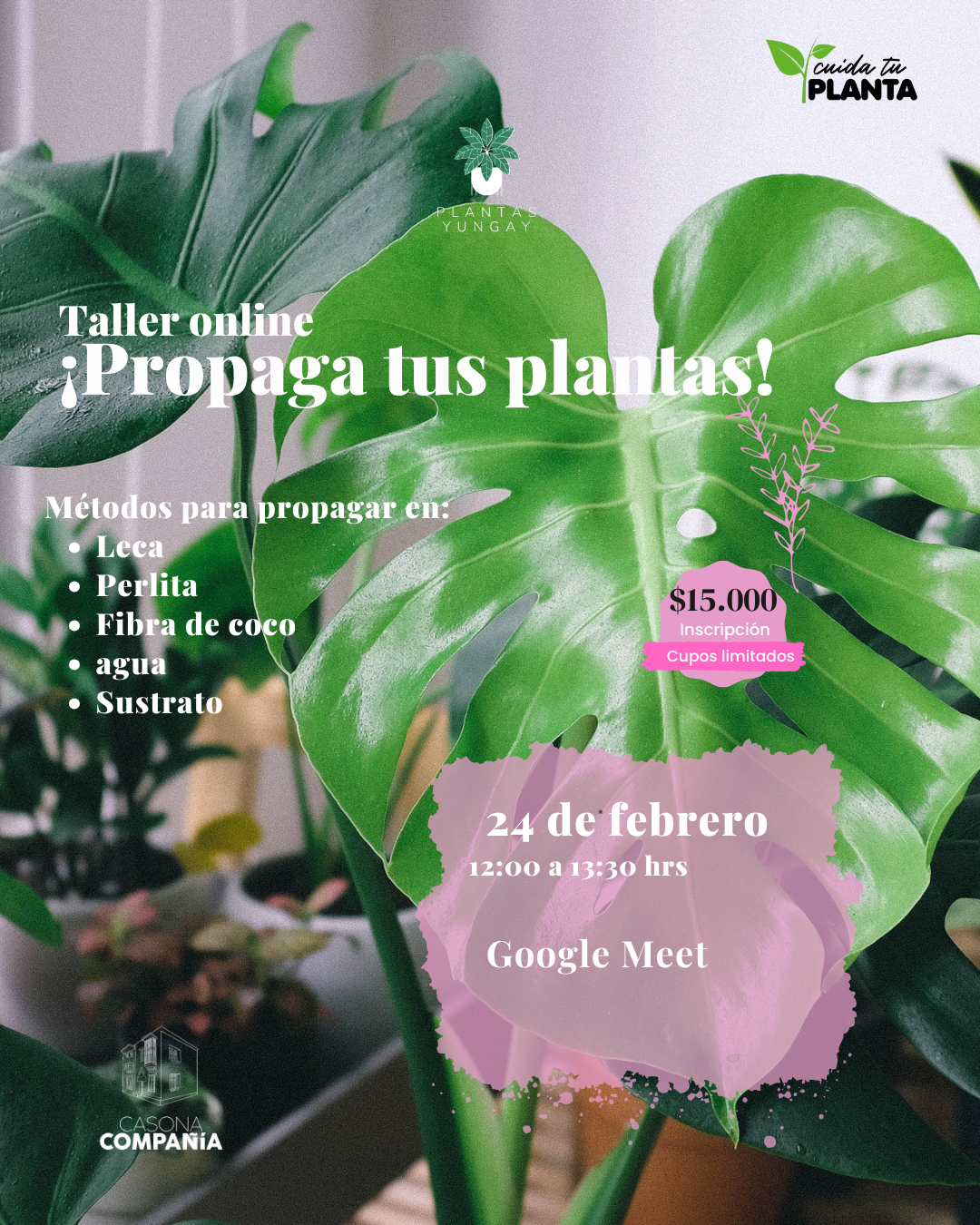 Taller online "Propaga tus plantas" 24 de febrero