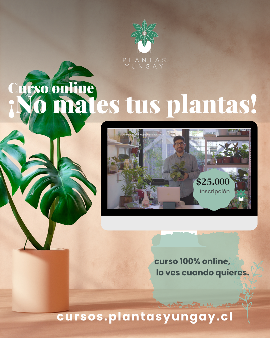 Curso Online "No Mates tus plantas"