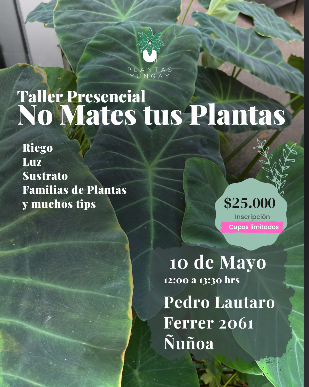 Taller Presencial No Mates tus Plantas 10 de mayo