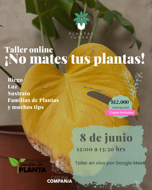 Taller Online "No Mates tus plantas " 8 de junio  2024