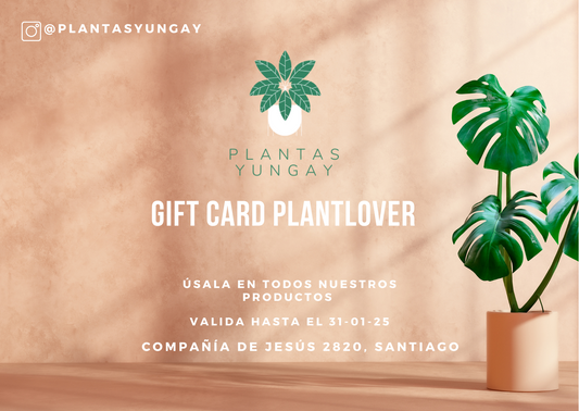 GiftCard Plantas Yungay