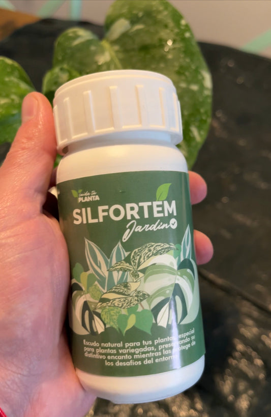 Silforte concentrado 200 cc